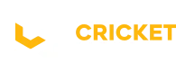 Mega Cricket World Logo